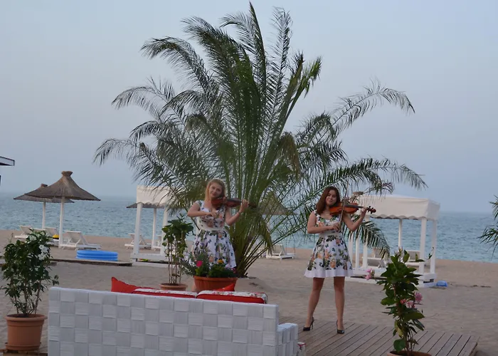 Boutique Citadel אפורי נורד